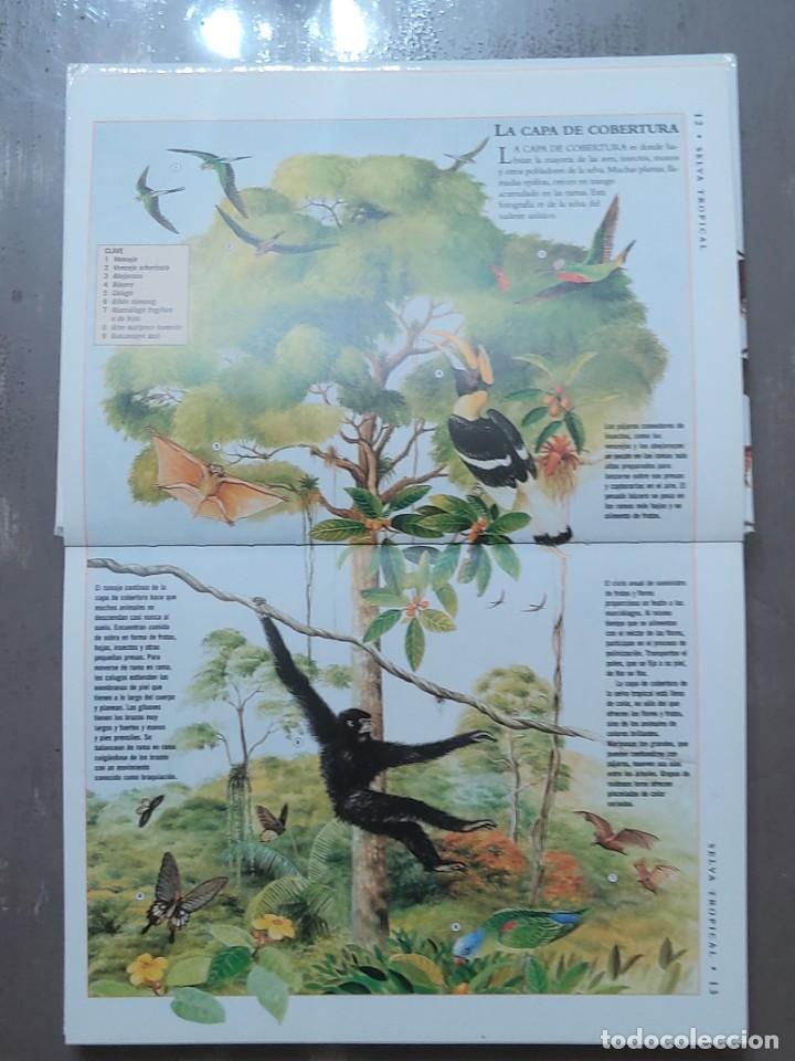 Libros de segunda mano: La enciclopedia de la naturaleza - Foto 2