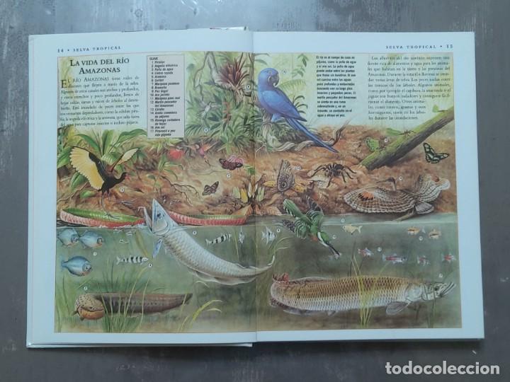 Libros de segunda mano: La enciclopedia de la naturaleza - Foto 3