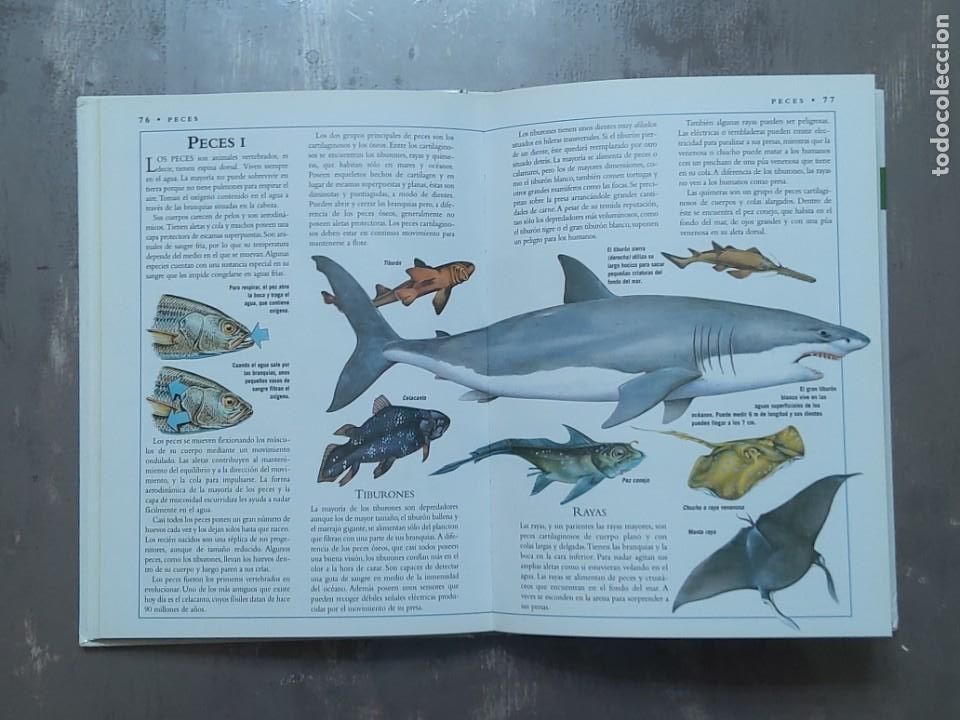 Libros de segunda mano: La enciclopedia de la naturaleza - Foto 5