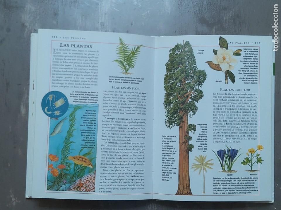Libros de segunda mano: La enciclopedia de la naturaleza - Foto 6
