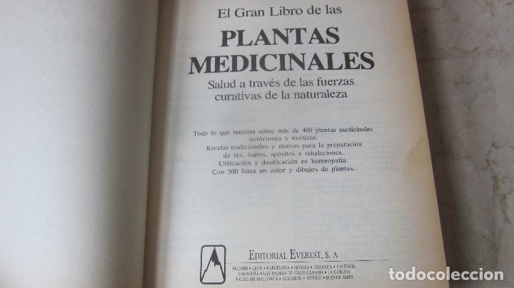 Libros de segunda mano: M. PAHLOW - EL GRAN LIBRO DE LAS PLANTAS MEDICINALES - EVEREST 1985 - Foto 2