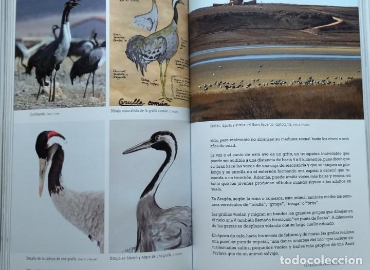 Libros de segunda mano: La Laguna de Gallocanta. El incesante espect&aacute;culo de lo natural / Roberto del Val Tabernas. - Foto 2