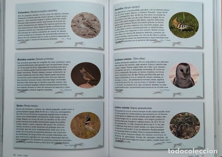 Libros de segunda mano: La Laguna de Gallocanta. El incesante espect&aacute;culo de lo natural / Roberto del Val Tabernas. - Foto 4