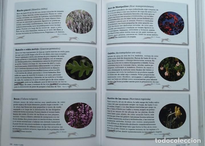 Libros de segunda mano: La Laguna de Gallocanta. El incesante espect&aacute;culo de lo natural / Roberto del Val Tabernas. - Foto 5