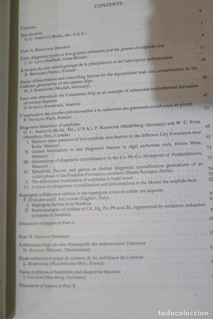 Libros de segunda mano: DEVELOPMENTS IN SEDIMENTOLOGY: VOLUME 2 SEDIMENTOLOGY AND ORE GENESIS - Foto 2