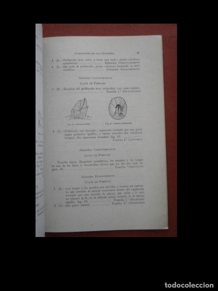 Libros de segunda mano: Clasificaci&oacute;n de los crust&aacute;ceos. Montserrat Bassedas Ard&eacute;vol - Foto 2