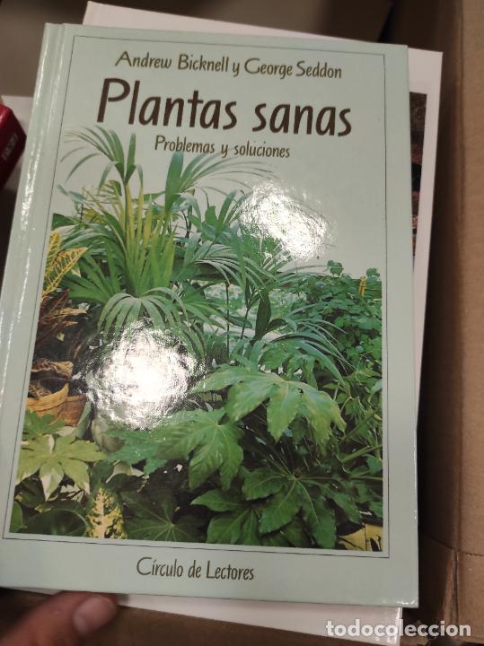 Libros de segunda mano: Plantas sanas - Andrew Bicknell y George Seddon - Foto 1
