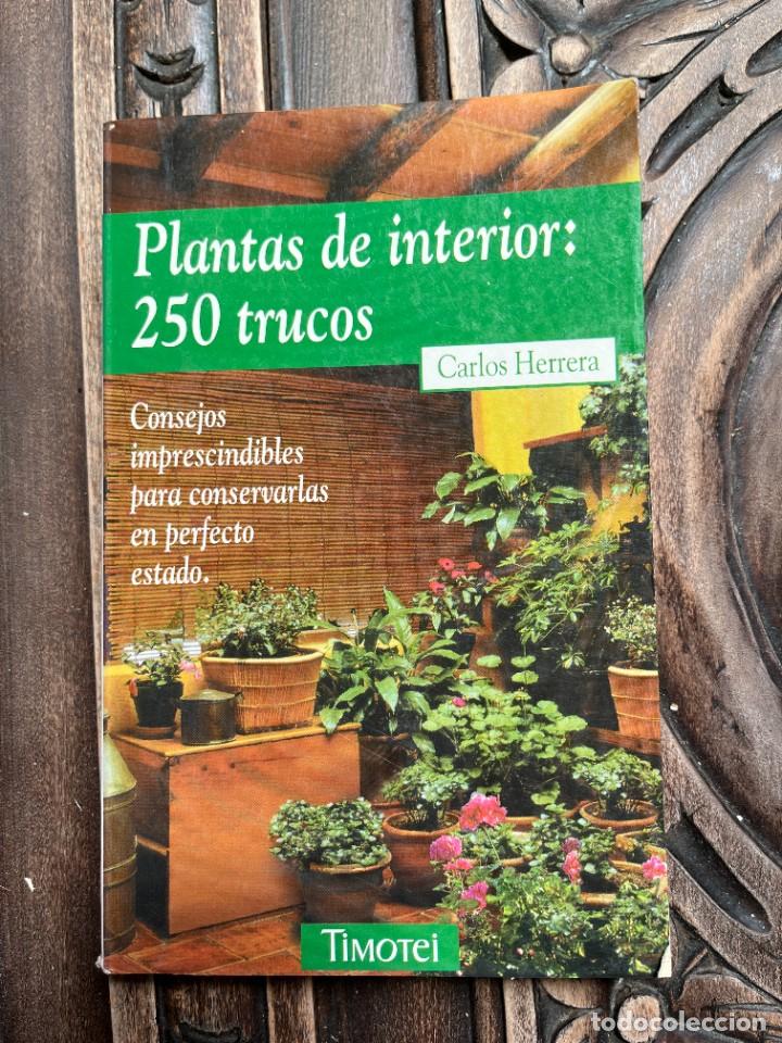 Libros de segunda mano: PLANTAS DE INTERIOR: 250 TRUCOS. - Foto 1