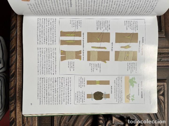 Libros de segunda mano: EL GRAN LIBRO DE LA JARDINER&Iacute;A. - Foto 6