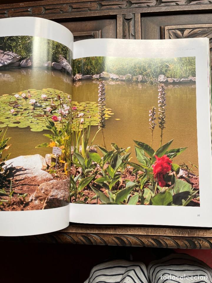 Libros de segunda mano: EL GRAN LIBRO DE LA JARDINER&Iacute;A. - Foto 7