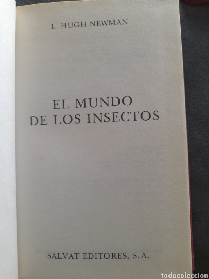 Libros de segunda mano: El mundo de los insectos. L. Hugh Newman - Foto 2