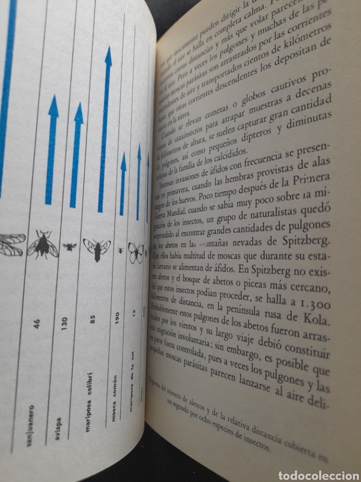 Libros de segunda mano: El mundo de los insectos. L. Hugh Newman - Foto 3