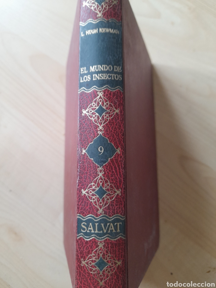 Libros de segunda mano: El mundo de los insectos. L. Hugh Newman - Foto 1