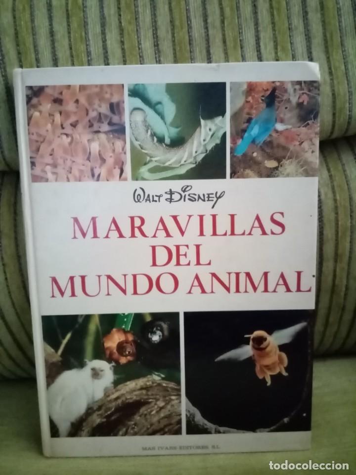 Libri di seconda mano: MARAVILLAS DEL MUNDO ANIMAL