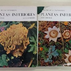 Libros de segunda mano: LOTE 2 TOMOS. PLANTAS INFERIORES-K. B. BOEDIJN-ED. SEIX BARRAL-1968-TAPA DURA-SOBRECUBIERTA