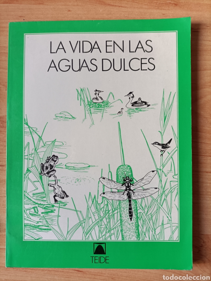 Libros de segunda mano: La vida en las aguas dulces. Teide. Konrad Ammann - Foto 1