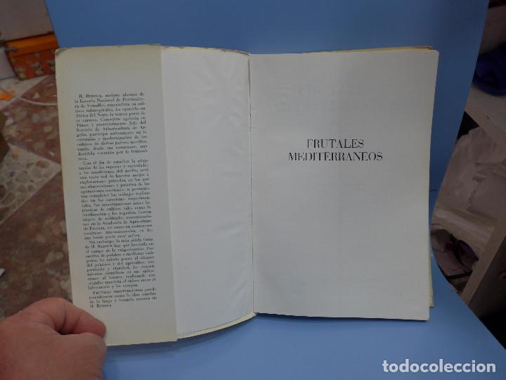 Libros de segunda mano: FRUTALES MEDITERRANEOS - H. REBOUR - Foto 3