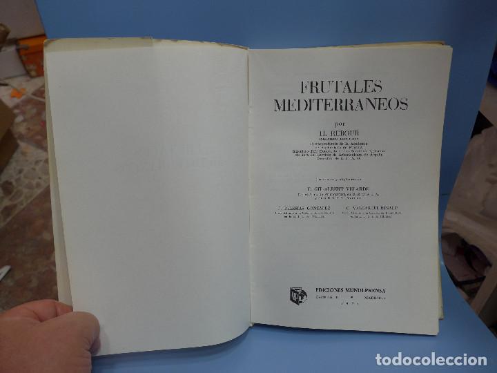 Libros de segunda mano: FRUTALES MEDITERRANEOS - H. REBOUR - Foto 4