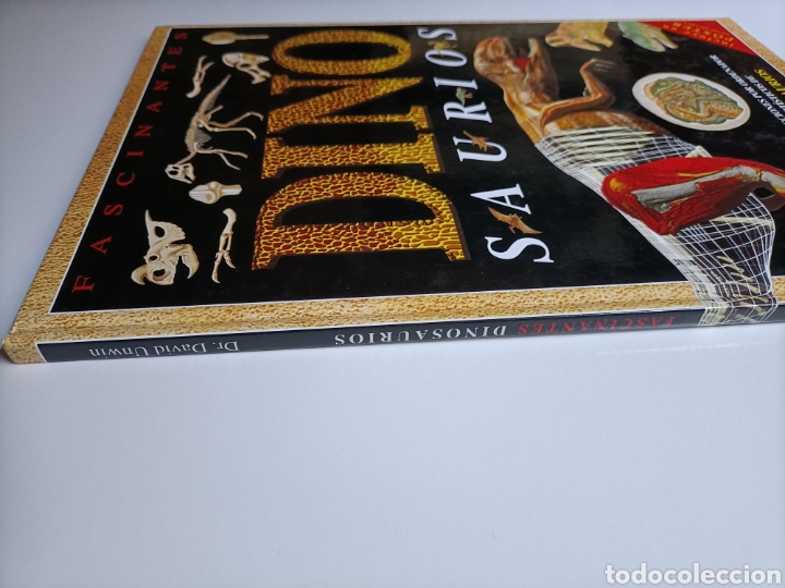 Libros de segunda mano: Fascinantes dinosaurios David Unwin - Foto 4