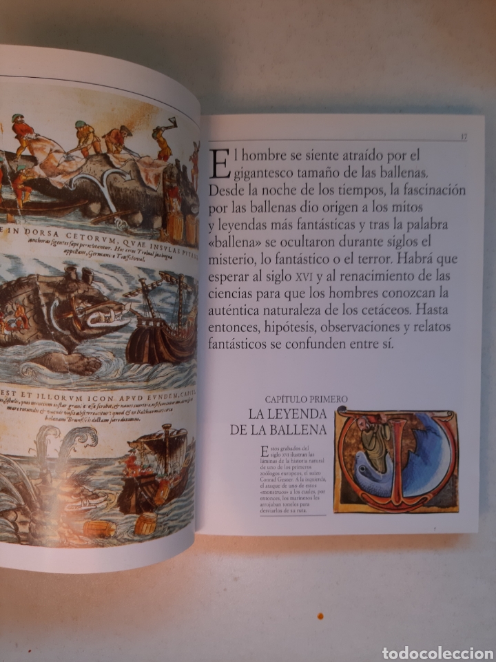 Libros de segunda mano: VIDA Y MUERTE DE LAS BALLENAS - Yves Cohat - Foto 3