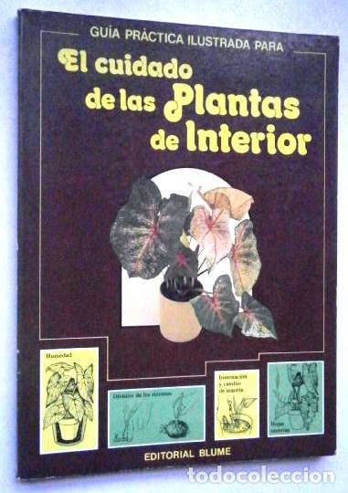 Libros de segunda mano: El cuidado de las plantas de interior / David Longman / Ed. Blume en Vitoria 1982 - Foto 1