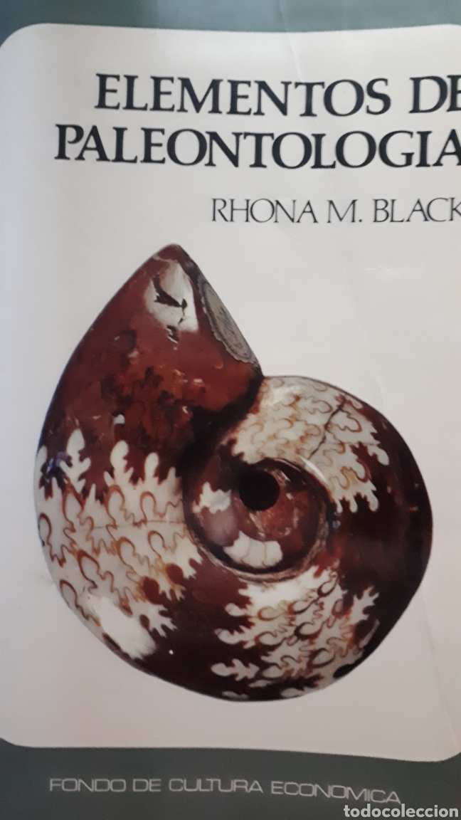 Libros de segunda mano: PALEONTOLOG&Iacute;A RHONA M. BLACK - Foto 1