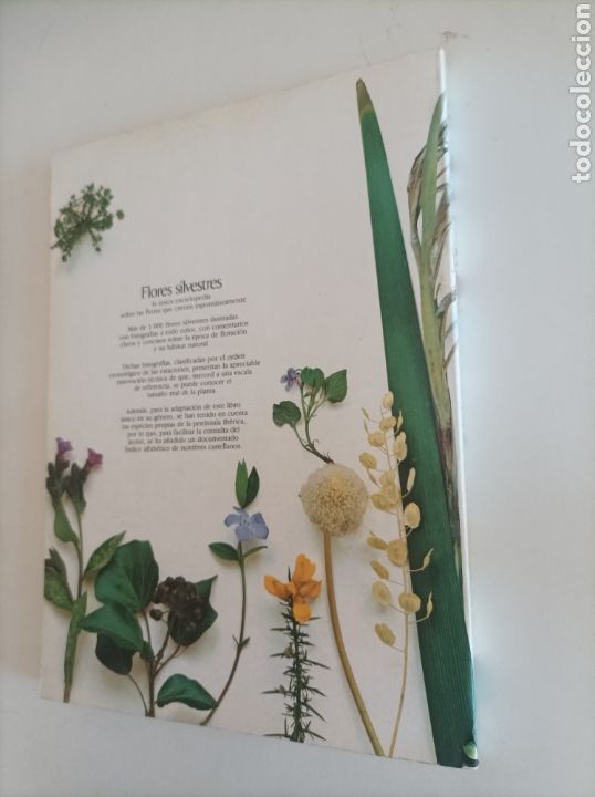 Libros de segunda mano: FLORES SILVESTRES / ROGER PHILLIPS - Foto 4