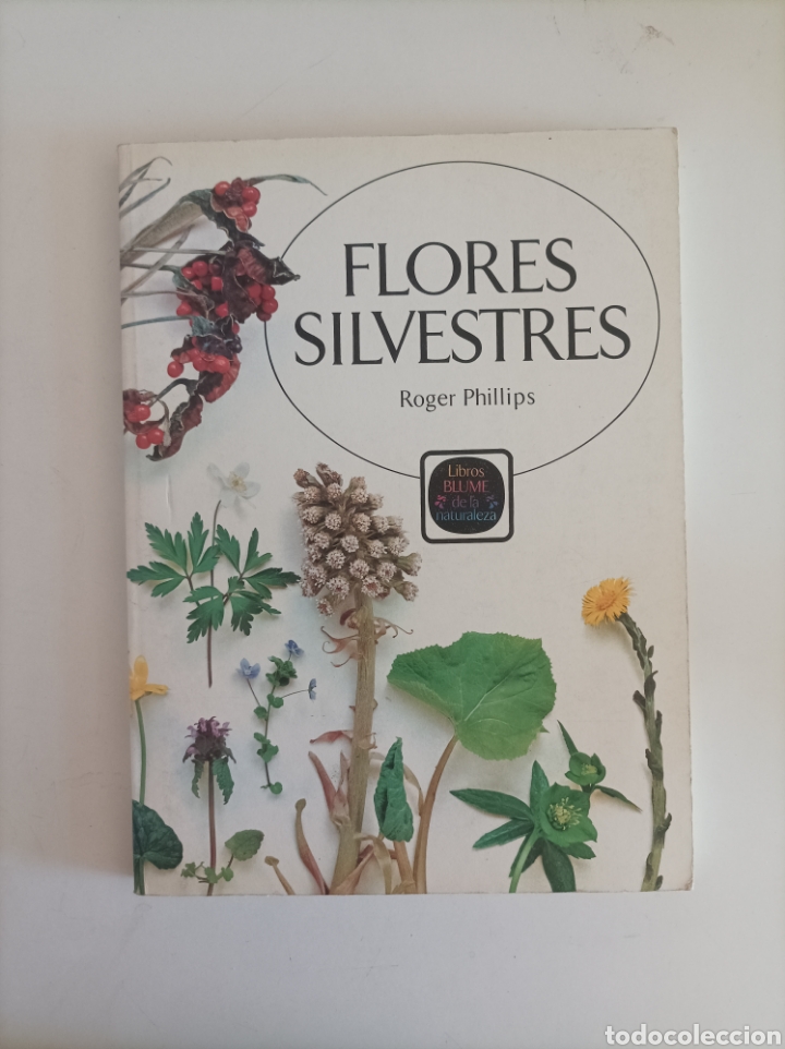 Libros de segunda mano: FLORES SILVESTRES / ROGER PHILLIPS - Foto 1