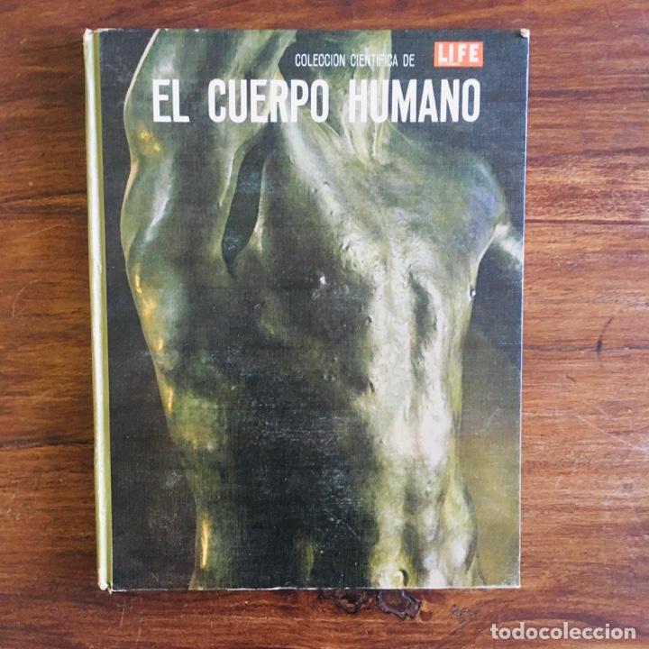 Libros de segunda mano: LIBRO EL CUERPO HUMANO - ALAN E. NOURSE - COLECCI&Oacute;N CIENT&Iacute;FICA LIFE - OFFSET MULTICOLOR 1967 - Foto 1