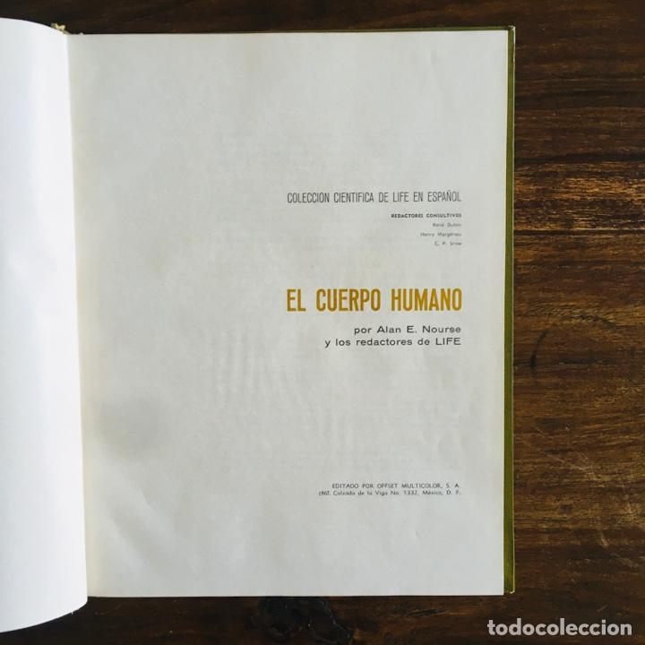 Libros de segunda mano: LIBRO EL CUERPO HUMANO - ALAN E. NOURSE - COLECCI&Oacute;N CIENT&Iacute;FICA LIFE - OFFSET MULTICOLOR 1967 - Foto 3