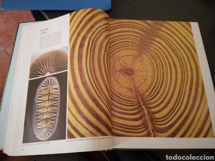 Libros de segunda mano de ciencias: El cient&iacute;fico. Colecci&oacute;n cient&iacute;fica de LIFE - Foto 7