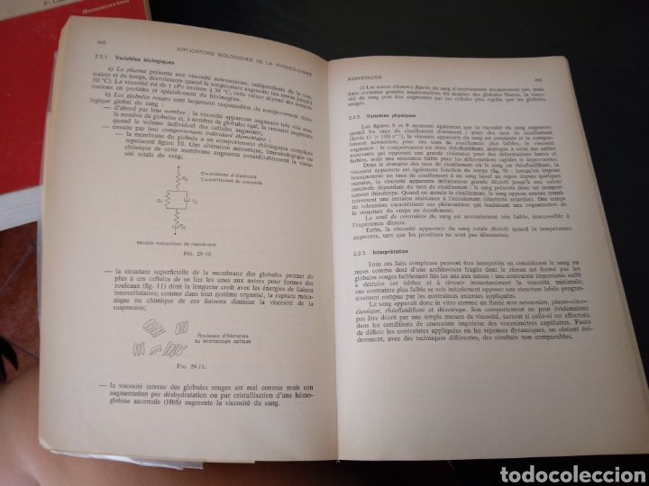 Libros de segunda mano de ciencias: &Eacute;l&eacute;ments de biophysique ( 2 libros) - Foto 8