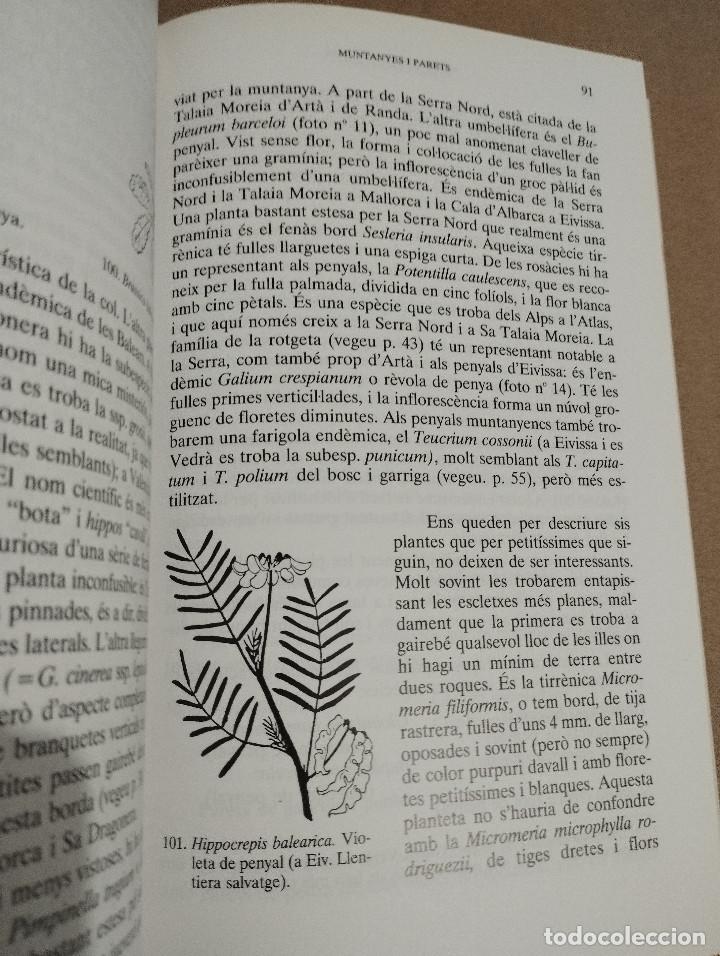 Libros de segunda mano: PLANTES DE LES BALEARS (ANTONI BONNER) - Foto 5