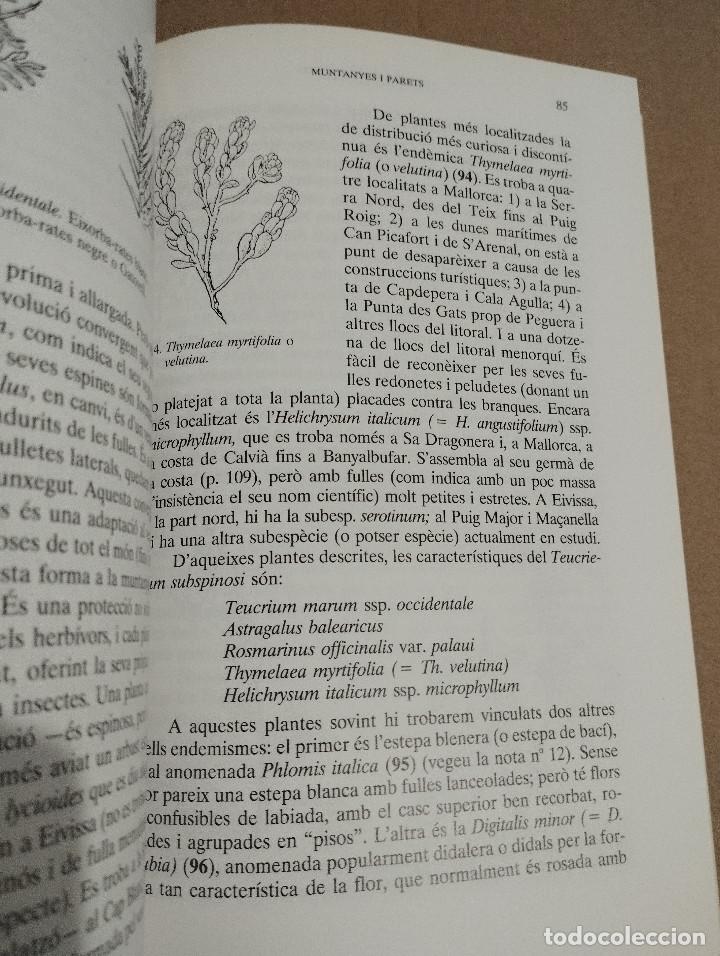 Libros de segunda mano: PLANTES DE LES BALEARS (ANTONI BONNER) - Foto 6