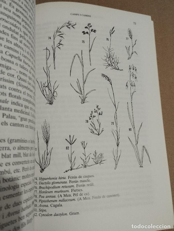 Libros de segunda mano: PLANTES DE LES BALEARS (ANTONI BONNER) - Foto 7