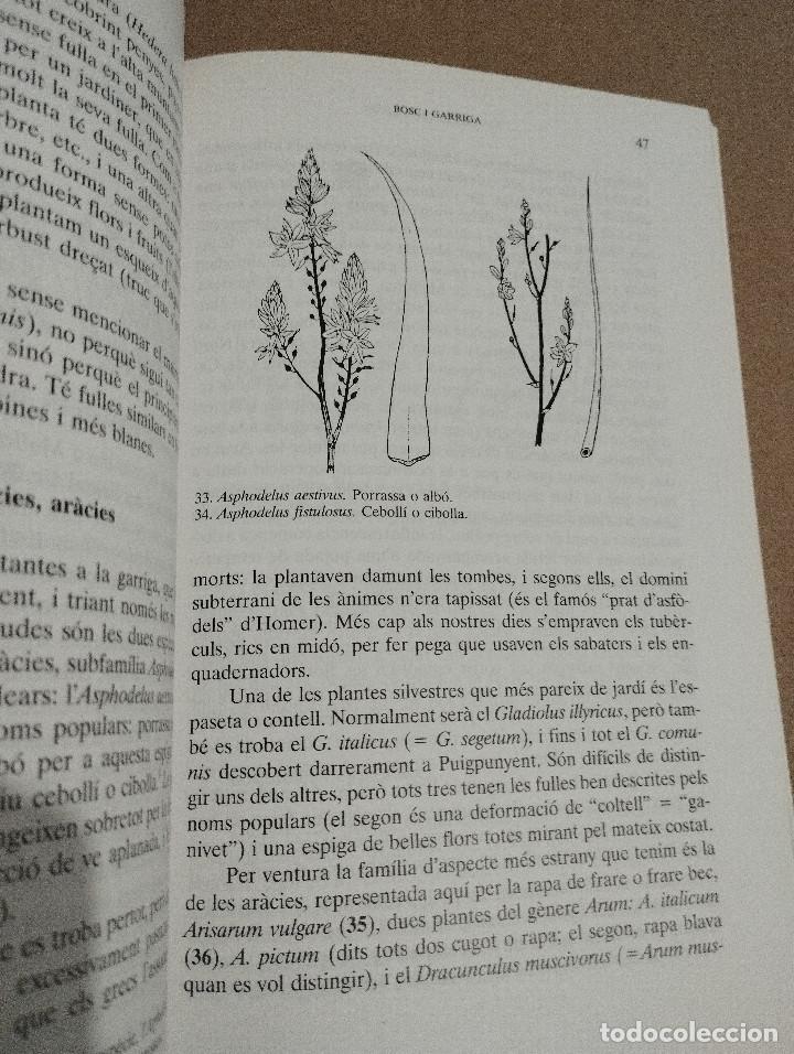 Libros de segunda mano: PLANTES DE LES BALEARS (ANTONI BONNER) - Foto 8