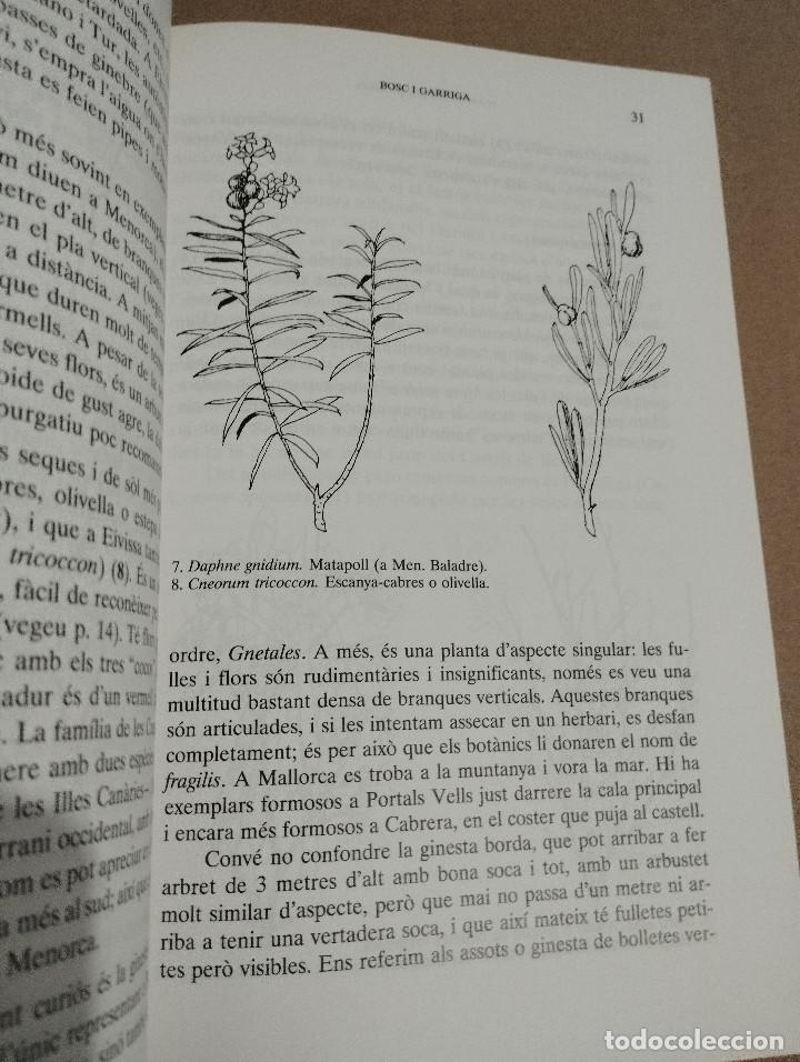 Libros de segunda mano: PLANTES DE LES BALEARS (ANTONI BONNER) - Foto 9