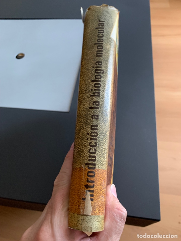 Libros de segunda mano: INTRODUCCI&Oacute;N a la BIOLOG&Iacute;A MOLECULAR - Foto 2