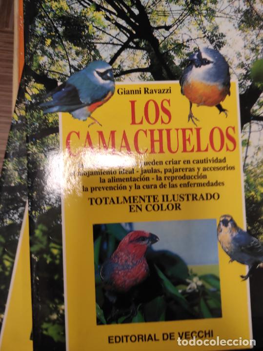 Libros de segunda mano: LOS CAMACHUELOS , GIANNI RAVAZZI - Foto 1
