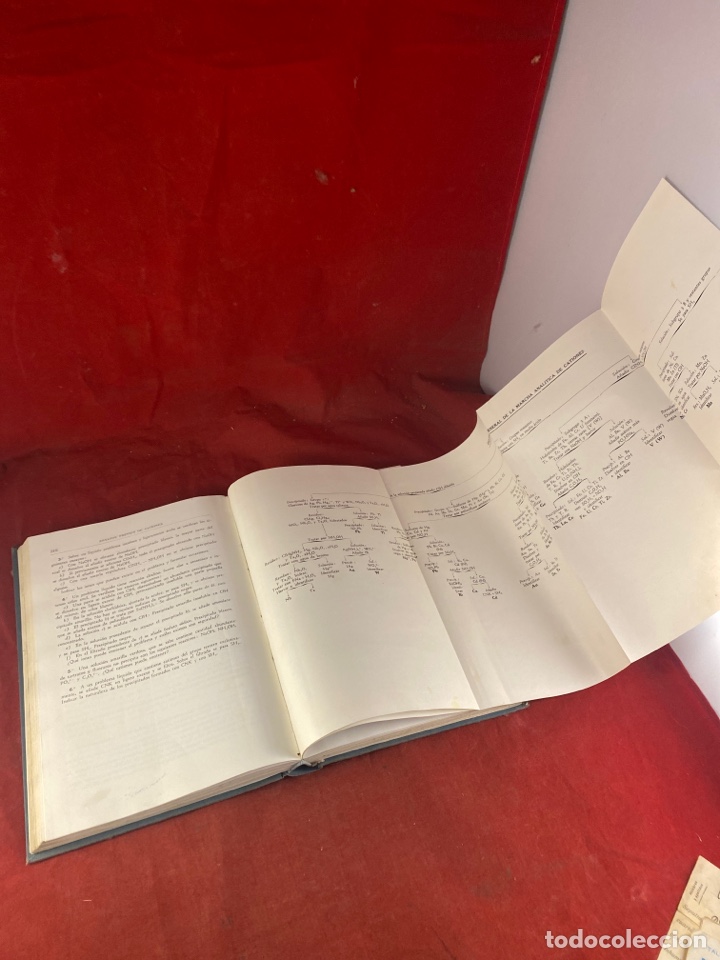 Libros de segunda mano de ciencias: QU&Iacute;MICA ANAL&Iacute;TICA CUALITATIVA - Foto 2