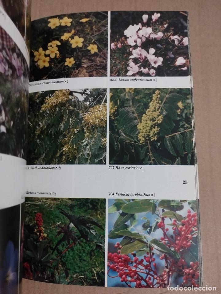 Libros de segunda mano: GU&Iacute;A DE CAMPO DE LAS FLORES DE ESPA&Ntilde;A (OLEG POLUNIN / B. E. SMYTHIES) - Foto 7