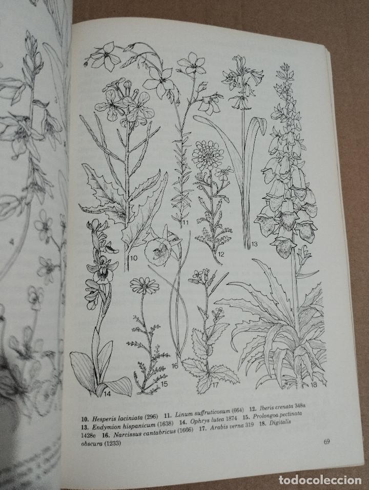 Libros de segunda mano: GU&Iacute;A DE CAMPO DE LAS FLORES DE ESPA&Ntilde;A (OLEG POLUNIN / B. E. SMYTHIES) - Foto 8