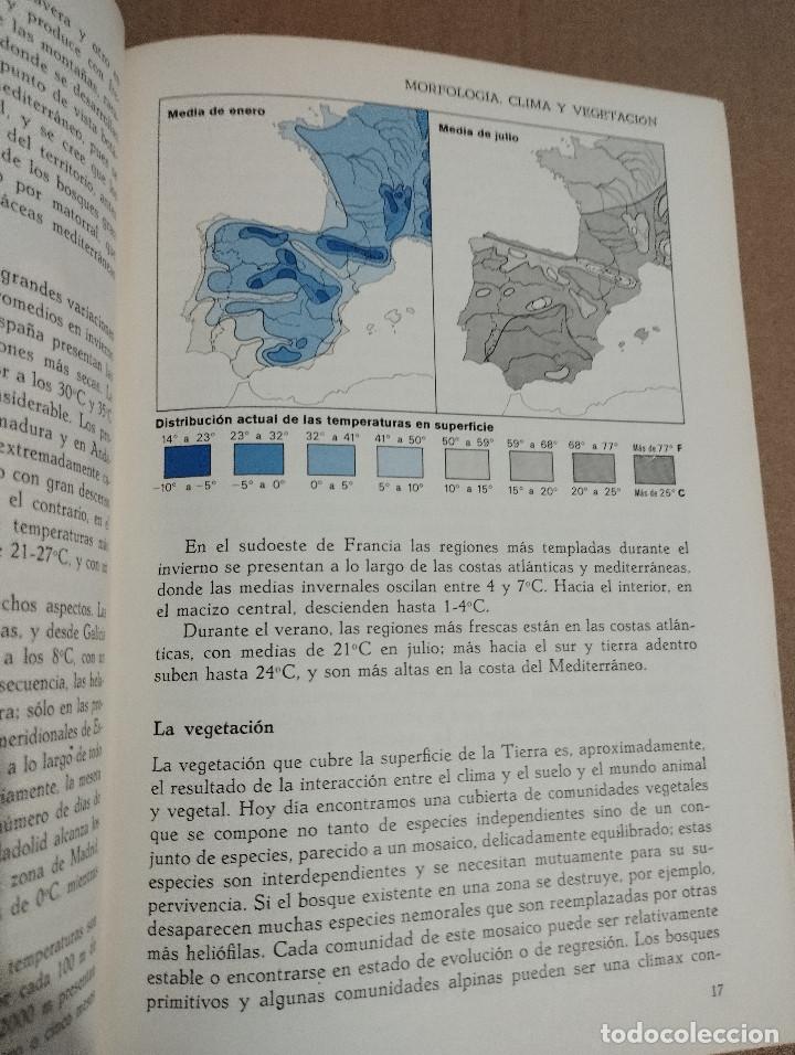 Libros de segunda mano: GU&Iacute;A DE CAMPO DE LAS FLORES DE ESPA&Ntilde;A (OLEG POLUNIN / B. E. SMYTHIES) - Foto 9