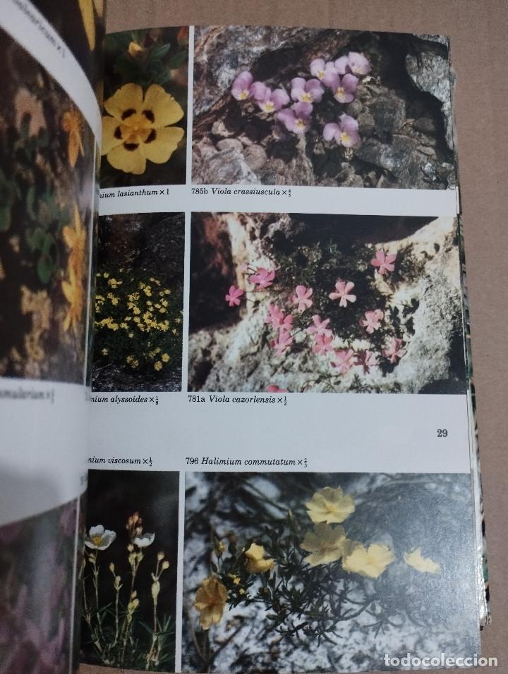 Libros de segunda mano: GU&Iacute;A DE CAMPO DE LAS FLORES DE ESPA&Ntilde;A (OLEG POLUNIN / B. E. SMYTHIES) - Foto 10