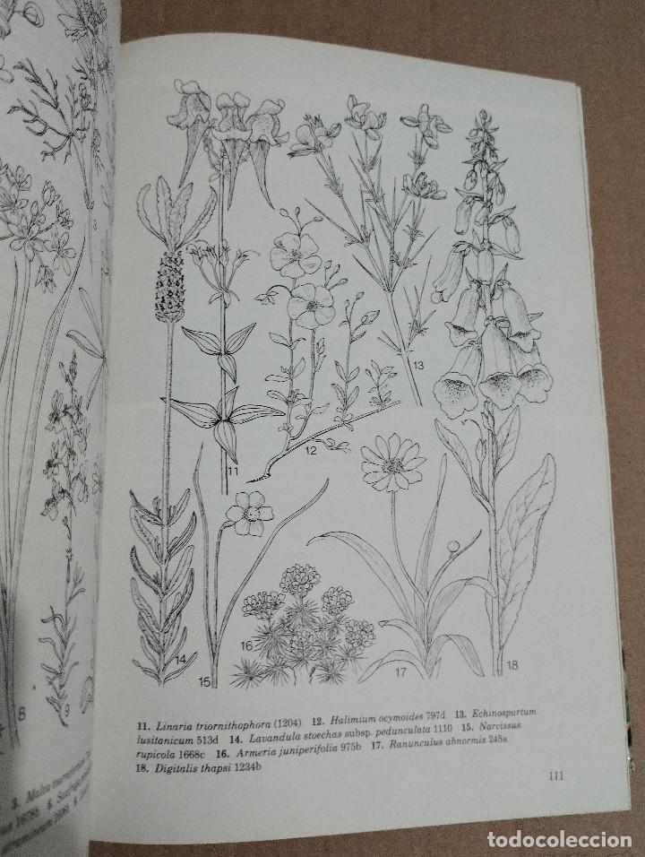 Libros de segunda mano: GU&Iacute;A DE CAMPO DE LAS FLORES DE ESPA&Ntilde;A (OLEG POLUNIN / B. E. SMYTHIES) - Foto 11