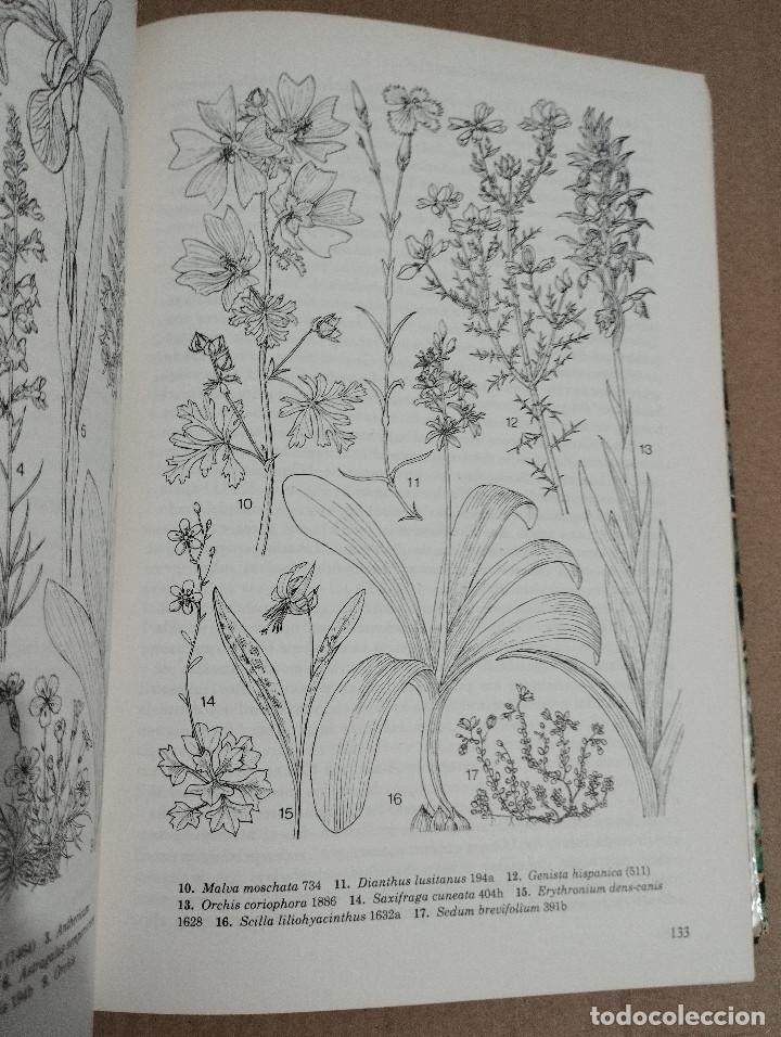 Libros de segunda mano: GU&Iacute;A DE CAMPO DE LAS FLORES DE ESPA&Ntilde;A (OLEG POLUNIN / B. E. SMYTHIES) - Foto 14