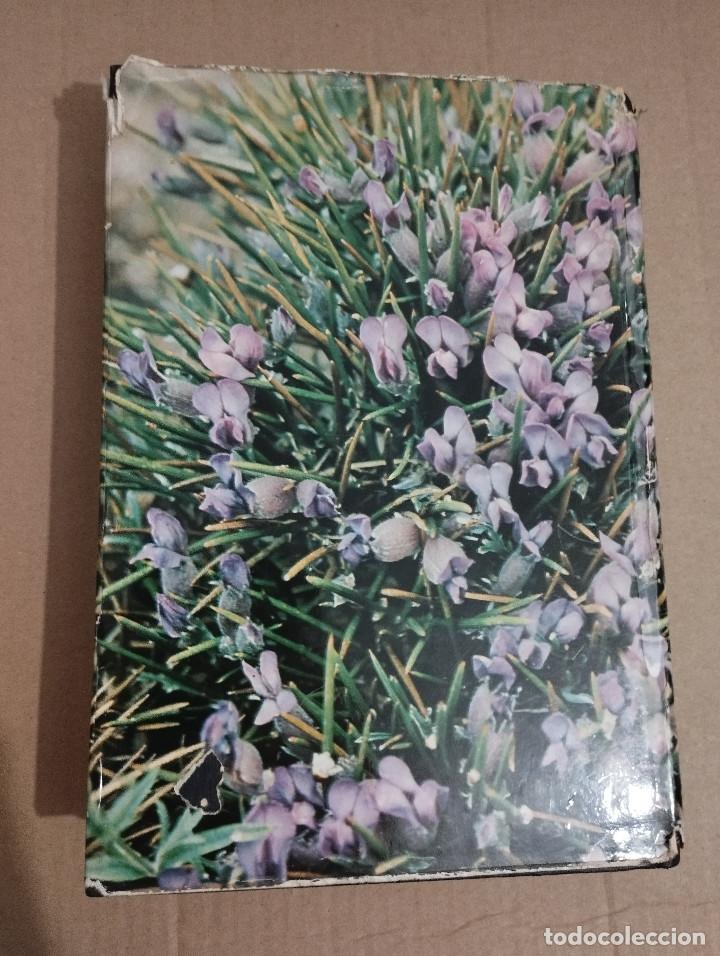 Libros de segunda mano: GU&Iacute;A DE CAMPO DE LAS FLORES DE ESPA&Ntilde;A (OLEG POLUNIN / B. E. SMYTHIES) - Foto 15