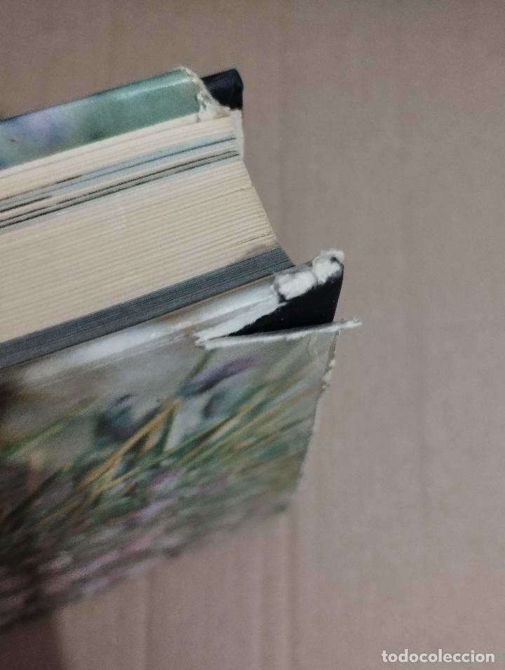 Libros de segunda mano: GU&Iacute;A DE CAMPO DE LAS FLORES DE ESPA&Ntilde;A (OLEG POLUNIN / B. E. SMYTHIES) - Foto 16