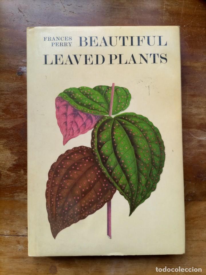Libros de segunda mano: Beautiful leaved plants Franc&eacute;s Perry - Foto 1