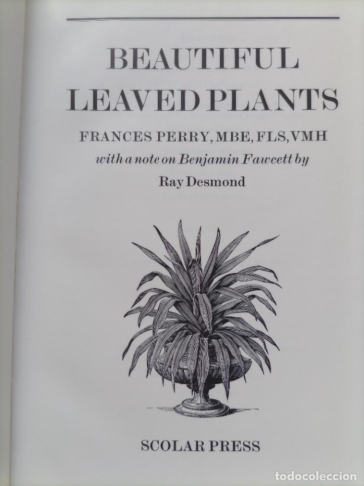 Libros de segunda mano: Beautiful leaved plants Franc&eacute;s Perry - Foto 3